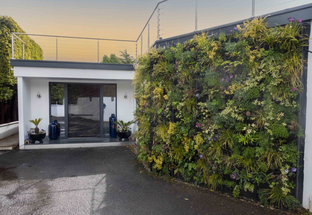 Green Plant Wall - living wall in urban development