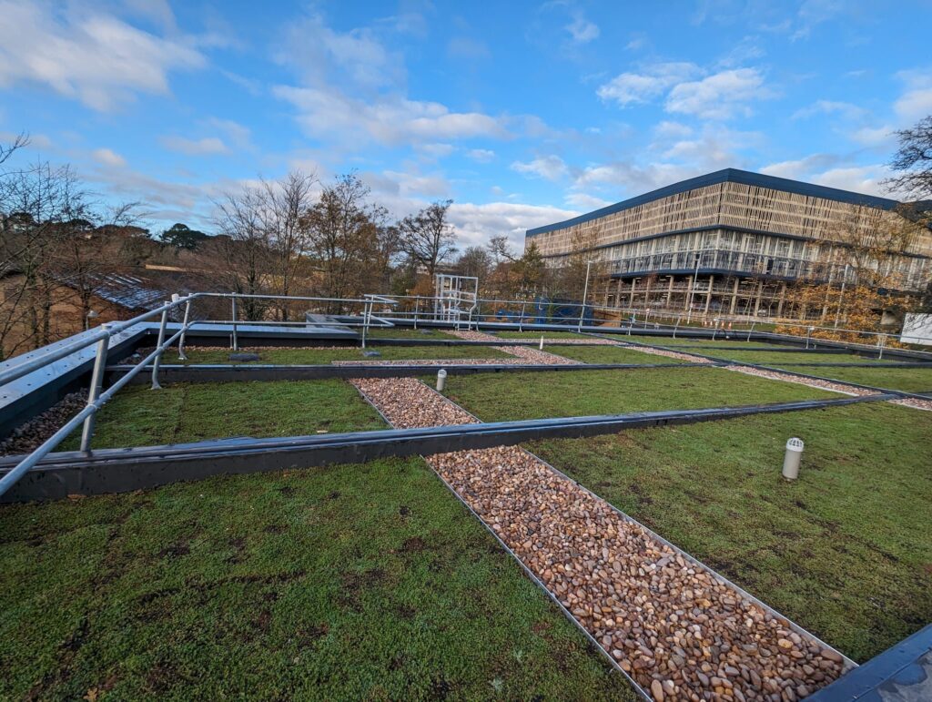 Green roof project with pebble drainage by Sedum Supply for Derriford Hospital, Plymouth